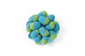 Wild Raspberries